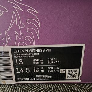 Lebron witness viii size 13